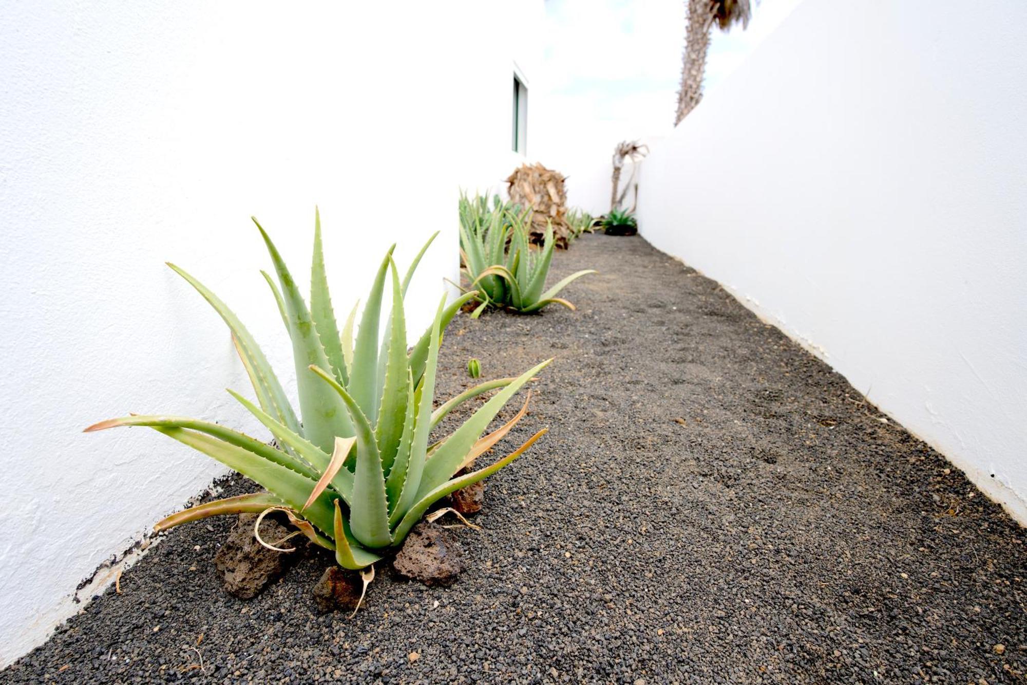 Villas Kalendra, Rofe, Lanzarote Guatiza 외부 사진