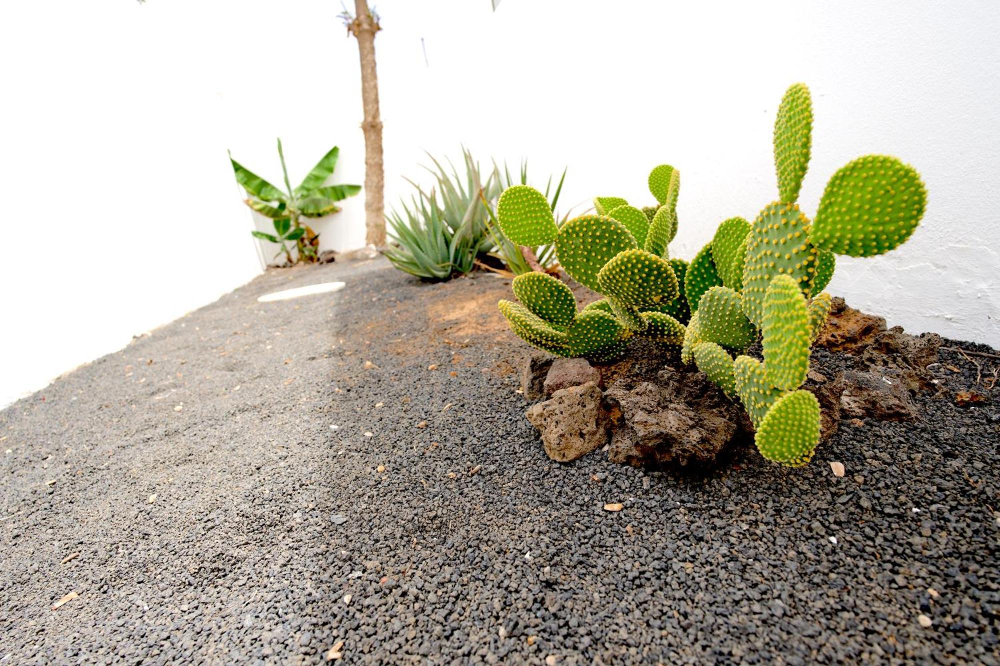 Villas Kalendra, Rofe, Lanzarote Guatiza 외부 사진